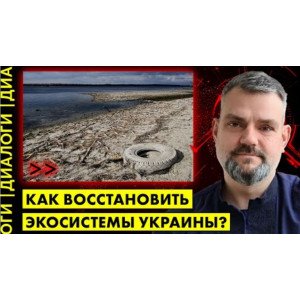 Максим Яли об экоциде Украины: последствия боевых действий и стратегии восстановления