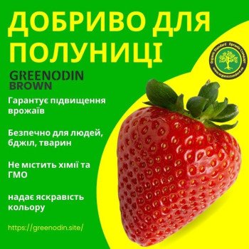 Удобрение для клубники GREENODIN BROWN гранулы