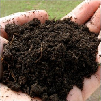 Грунт универсальный GREENODIN GARDEN SOIL 