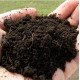 Грунт универсальный GREENODIN GARDEN SOIL 