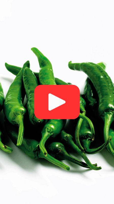 Удобрение для острого перца GREENODIN отзывы видео-2