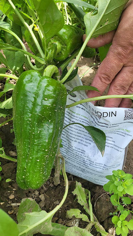 Удобрение для перца GREENODIN отзывы фото-2-1