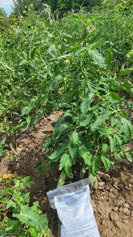 Удобрение для помидор GREENODIN отзывы фото-2-1